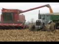 Corn harvest 2006