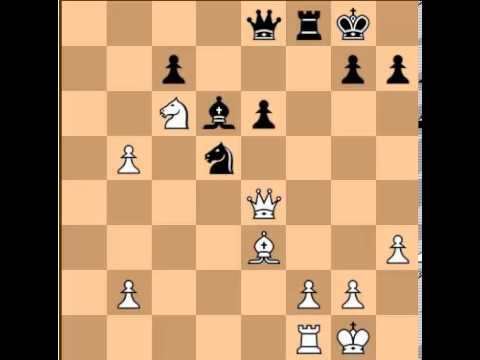 magnus carlsen