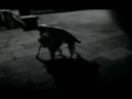 REQUIEM-FOR-A-SHIT-S