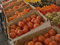 Salmonella Shockwaves Remain Salmonella Shockwaves Remain