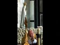 understand-the-times-fatima-gospel.html