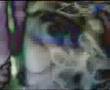 the Residents - The 4th 10 Years