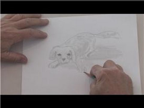 how to draw puppies