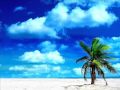 Beautiful Life - Dj Mehmet Aslan