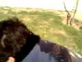 videos de martin enfrenta a su primo mas grande