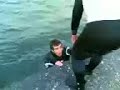 jackass-fb-yelken