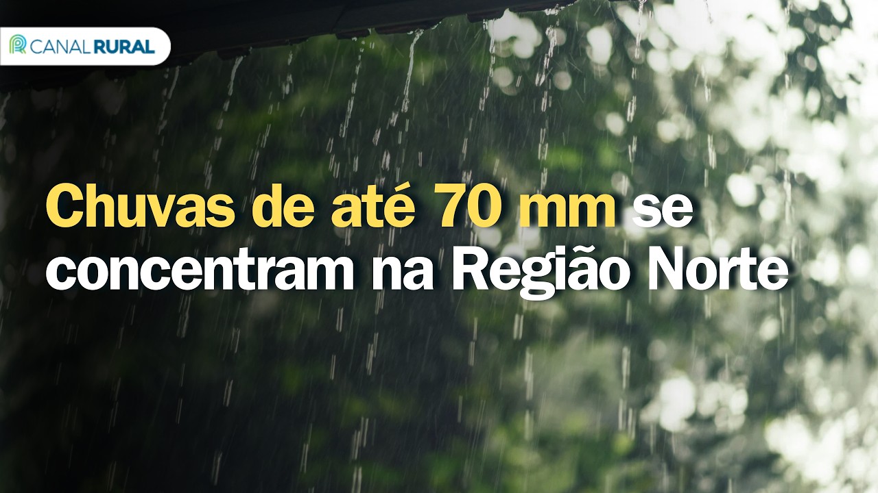 Previsão do tempo | Brasil 15 dias | Chuvas de até 70 mm se concentram na Região Norte