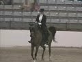 Region 14 Saddle Seat Equitation 17 & Under