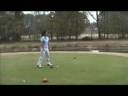 golfing at riverpines.wmv