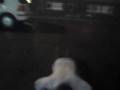 videos de Shelver!