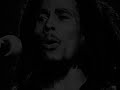 Bob Marley- Natural Mystic