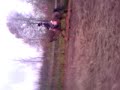 fiek@dressuur 2