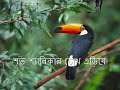 oFu - kobita lekhar proyash by dhushorgodhuli