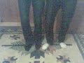 wiwi night