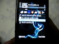 Nokia N95 8gb (assorted themes)
