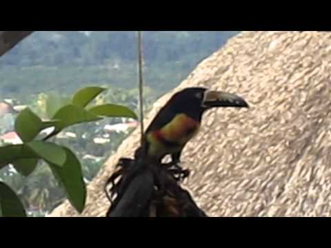 Image de prévisualisation YouTube