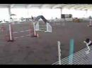 Tailwaggers USDAA Trial May 17-18