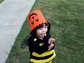 videos de PISTACHON ZIG-ZAG EN HALLOWEEN