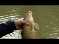 Andy Findlay Floating Feeder