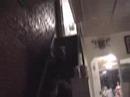 stair sleddind part two