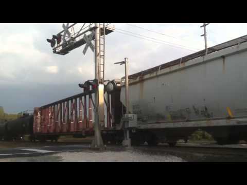 grand national results