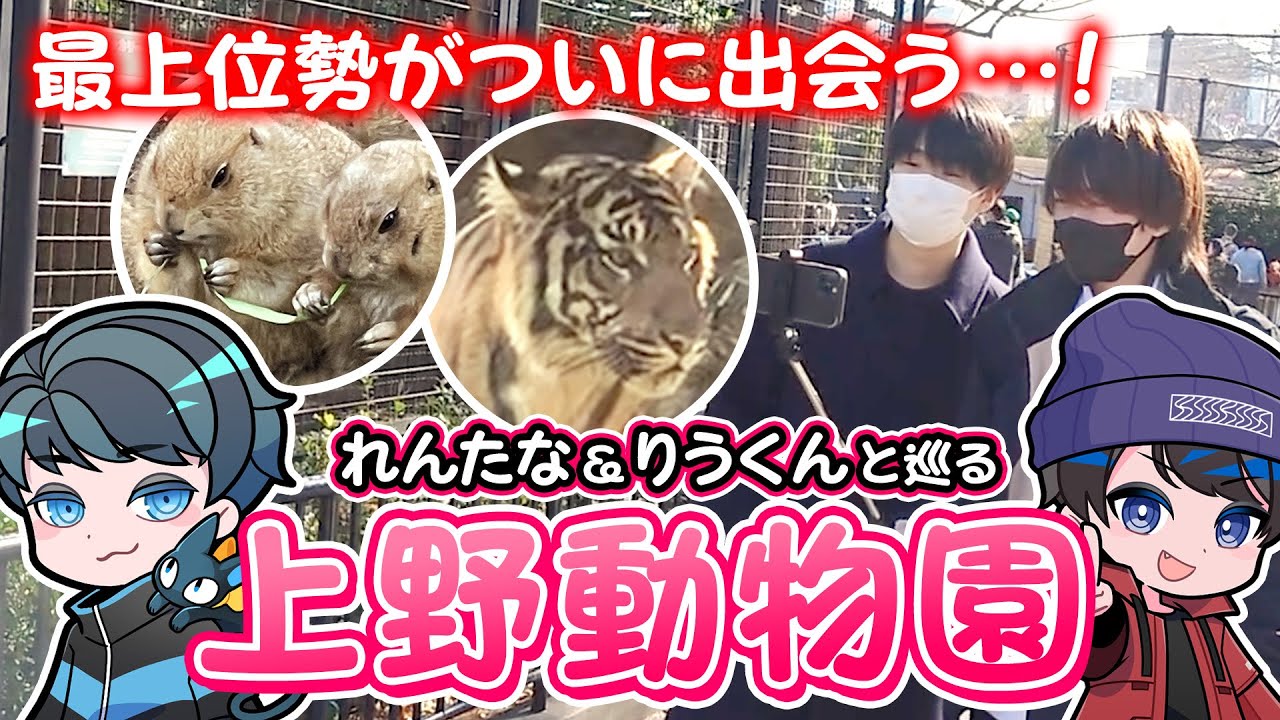 スプラトゥーンプロが上野動物園に行くと… 2人のラブラブデートに密着してみた【れんたな/りうくん】