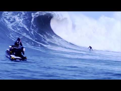 nic lamb -