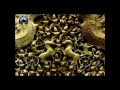 Cambodian Tourist Attraction.wmv