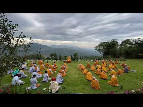 NIKAYA Thiền Quán - Tâm Thương Dễ Chịu Biết Bao Trong Lòng !