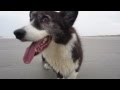 10 Year Old Kafka on the Beach