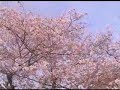 All stars \"mono\"  [ANTIHONEY]