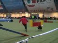 Telkk� - Agility Trial on January 12, 2008