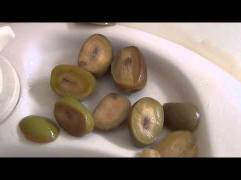 how to cure green olives