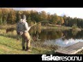 Tellis drillar regnbåge med fiskeresor.nu flugfiske flugfiskekurs i Vinnalt