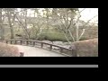 Iwate Park 2