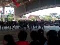 viky's video..