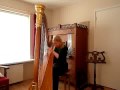 Fur Elise - Harp - Boek deze harpiste op www.artiestvooru.nl