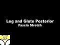 Fascia Stretch Leg / Glute 1 Fascia Stretch Leg / Glute 1