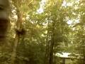 videos de 