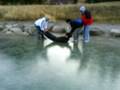 videos de banff ice moment