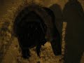 Winterpret 2008