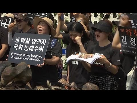 Südkorea: Demo gegen Hunde-Schlachten - Blumen für di ...