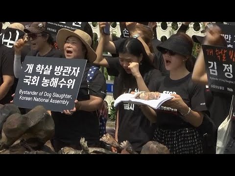 Sdkorea: Demo gegen Hunde-Schlachten - Blumen fr  ...