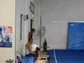 Harrison Park Gymnast