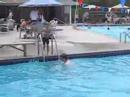 Uncle Mo scores a perfect 10 with his one and three quarters perfect back slammer dive perfected in the 80's at Range End Country Club Swimming Pool in Dillsburg, Pa.