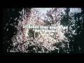 lost tapes episodes 4 cave demon part 1