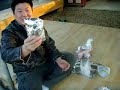 ??? ??? ?????? (boned rib of pork with foil)