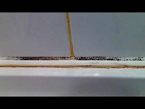 video-linktoworks-How to Clean Black Mildew Mold Mould from Shower...