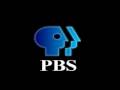 Polished PBS Indent.