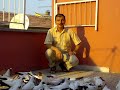 kelebek güvercinler balikesir nevzat
